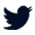 Twitter (em inglês)